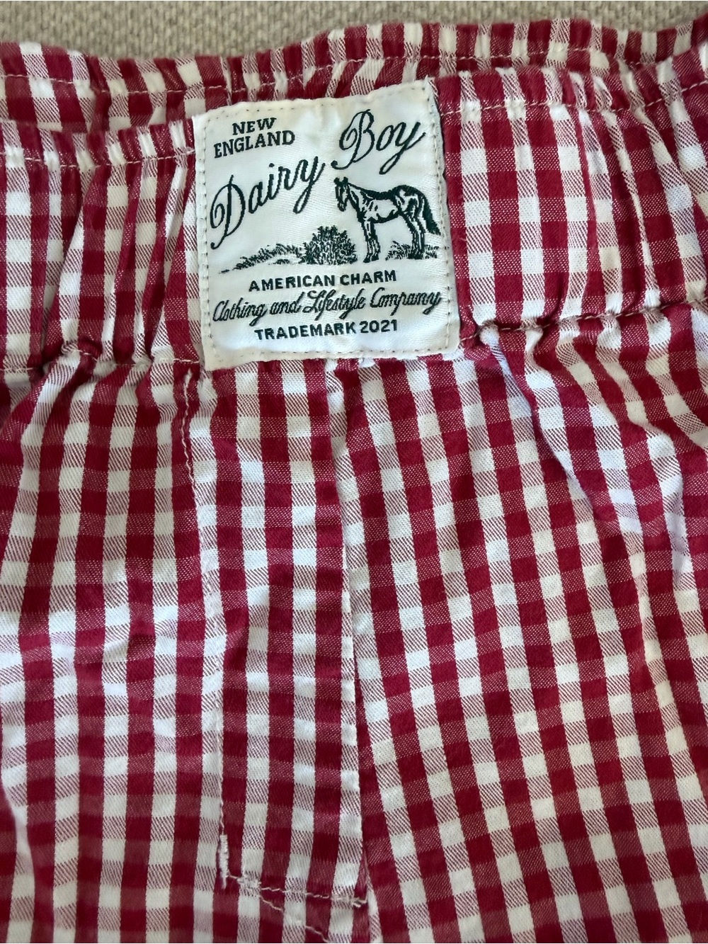 Dairy Boy Red Gingham Women's Shorts - Classic Check Waistband